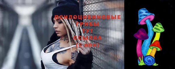 твердый Касимов