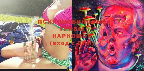 первитин Каменка