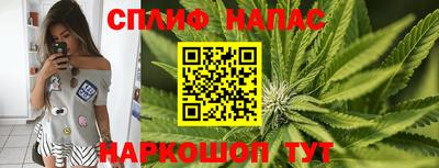 МДПВ Краснодар