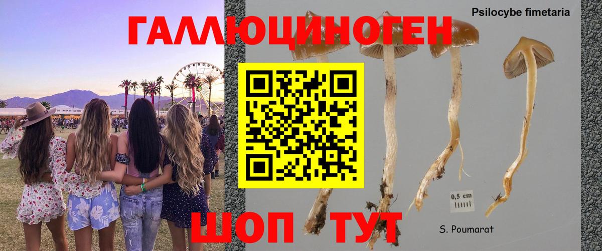 Псилоцибиновые грибы Magic Shrooms Костомукша